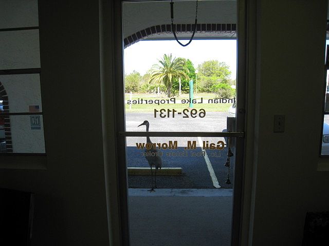 1st image of Magnolia Dr
