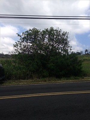 1st image of Princess Kaiulani Blvd Lot 35