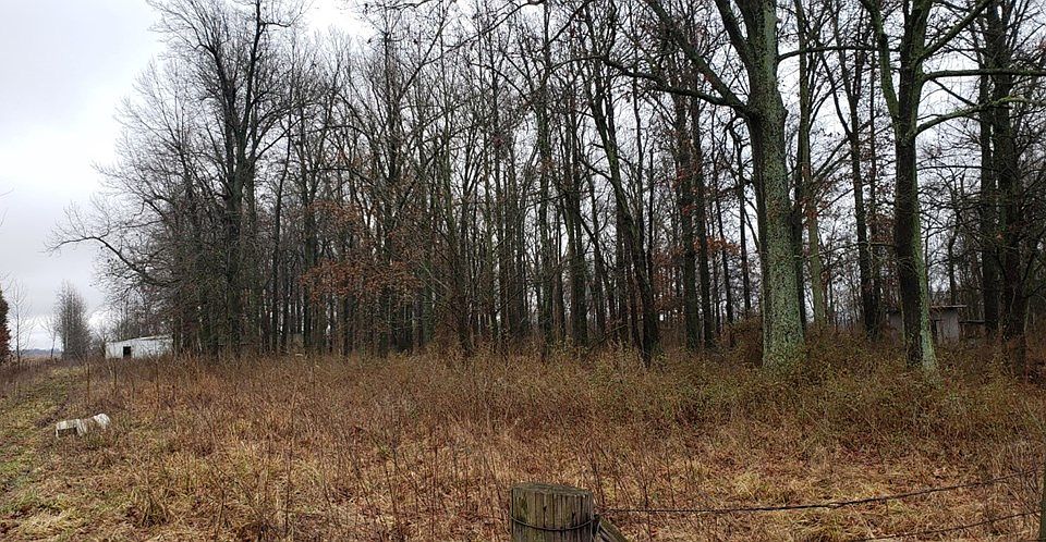 2nd image of 981 Fogle Rd