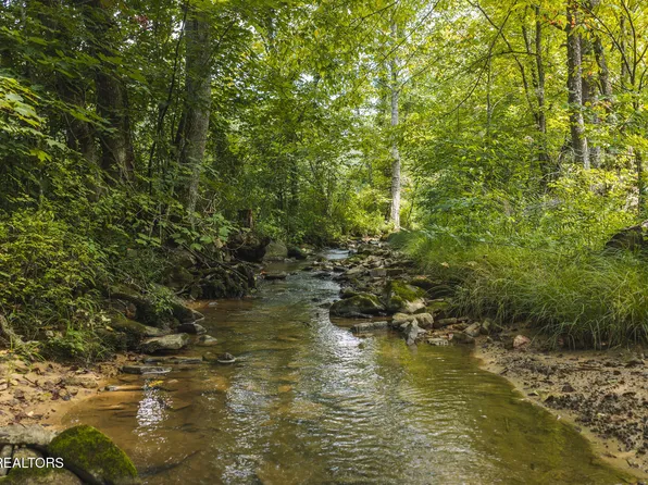 0 Snake Hollow Rd, Sneedville, TN 37869