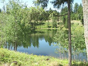 1st image of Blk 1 Lot 9 Blue Heron Lake Sagle #Lot9