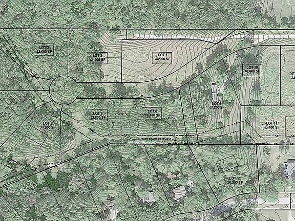 Development Option