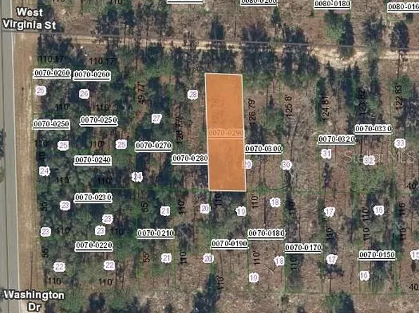 131 W Virginia St, Hawthorne, FL 32640