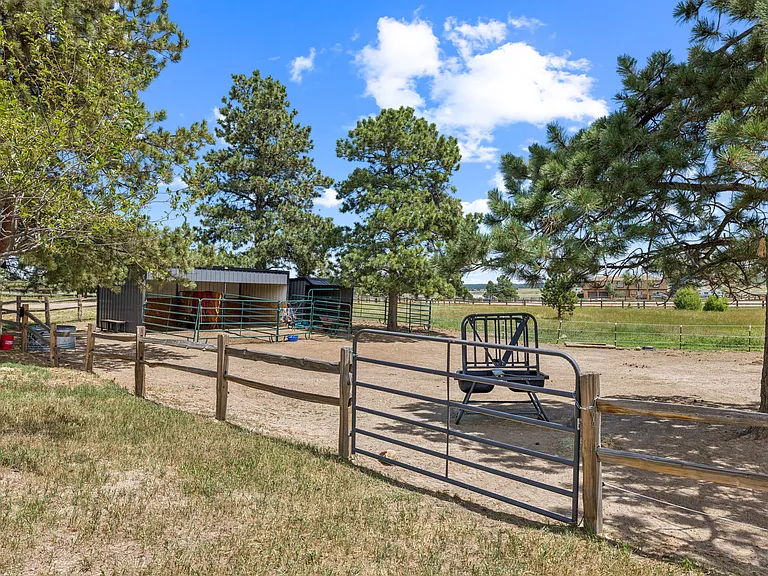Appaloosa Rd — Photo 3