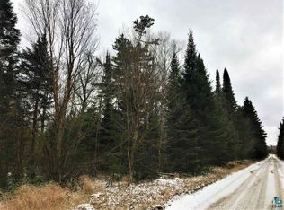Xxx Stony River Forest Rd, Isabella, MN 55607