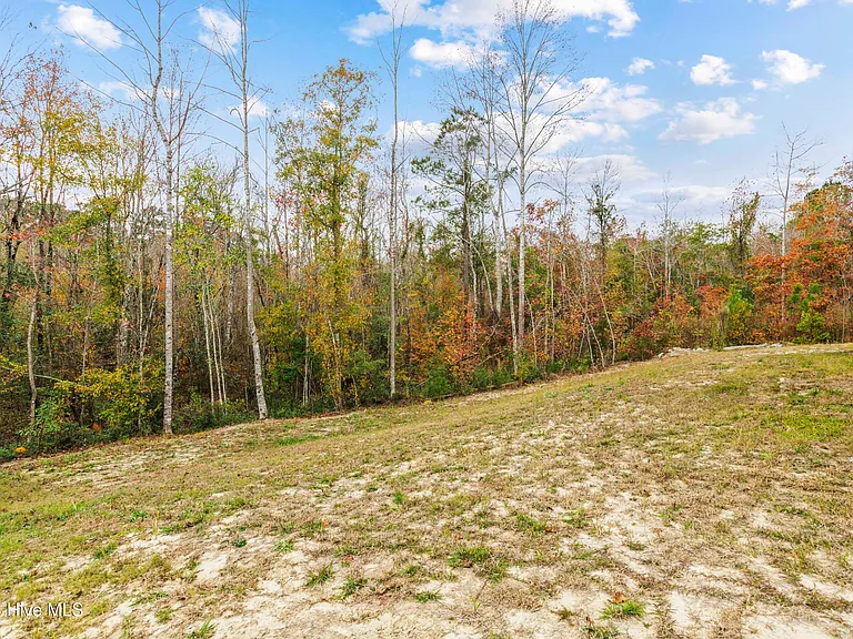 421 Blockade Shoal Ln — Photo 28
