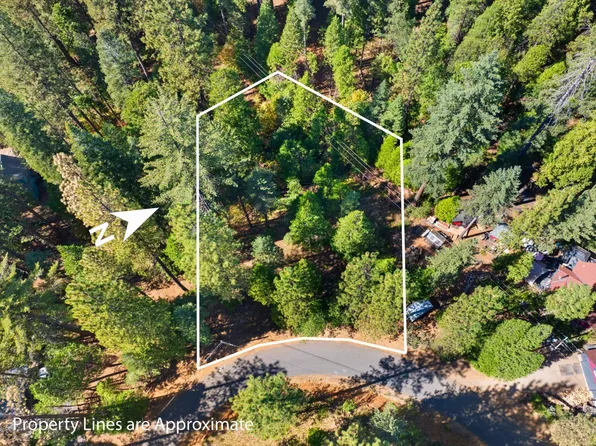 2785 Murphys Dr, Arnold, CA 95223