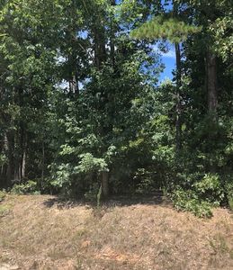 0 Mayes Rd, Toccoa, GA, 30577
