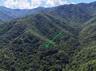 1824 Black Rock Rd, Maggie Valley, NC 28751