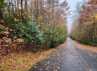 59 Big Pine Rd, Sapphire, NC 28774