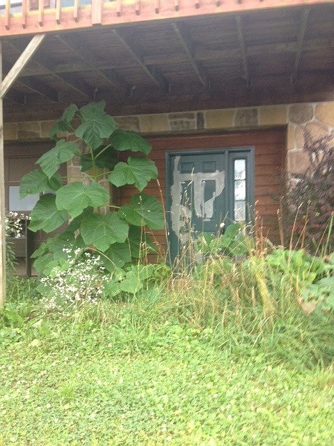 1st image of 1049 Lees Dr