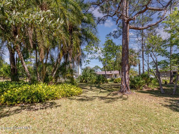 597 Tasco Ave SW, Palm Bay, FL 32908