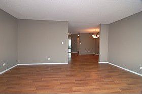 4th image of 195 N Harbor Dr APT 302