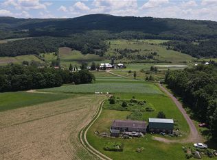 503 N Harpersfield Rd, Jefferson, NY 12093