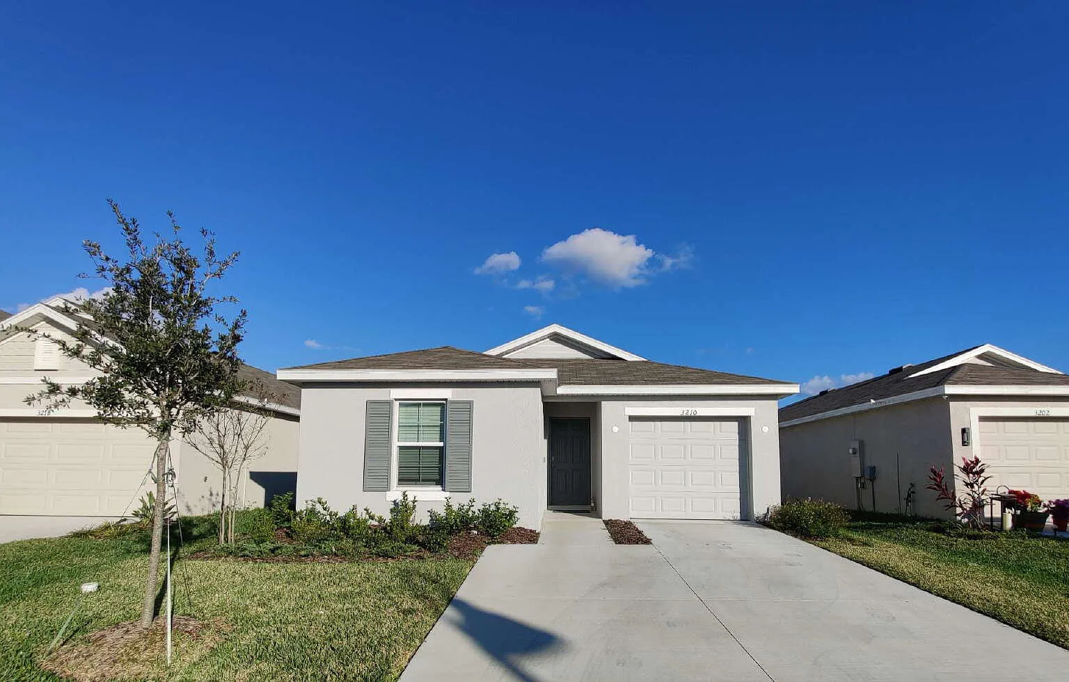 3210 Suncoast Plains Dr, Odessa, FL 33556 — Photo 2