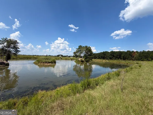 Carters Bridge Rd, Claxton, GA 30417