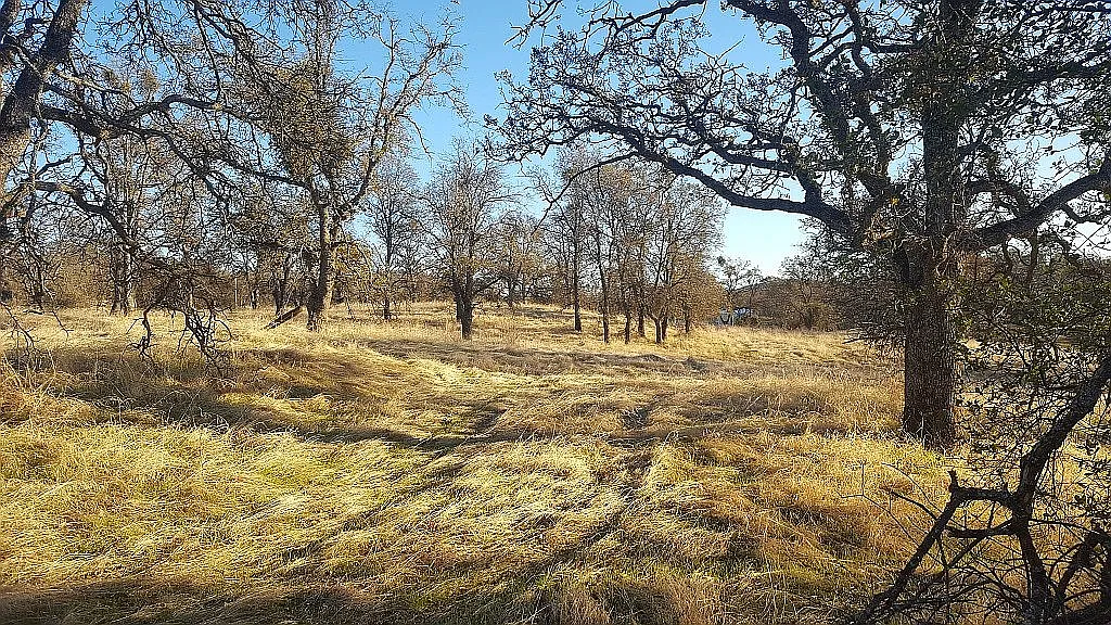 0 Ladera Way Lot 882 photo 1