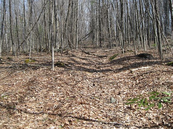 2nd image of 0 Mohawk Lake Rd