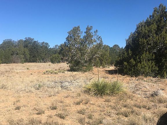 3rd image of 18 Camino Vega Dr