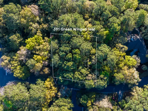 391 Green Winged Teal Rd, Johns Island, SC 29455