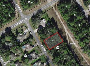 8921 N Travis Dr, Citrus Springs, FL 34434