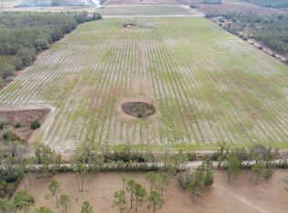 Tbd 160th St, Live Oak, FL 32060