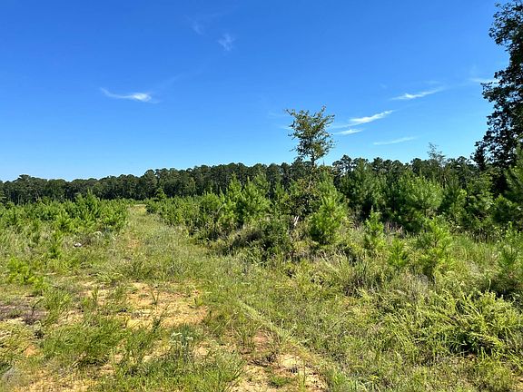 4th image of Long Cane Creek Rd