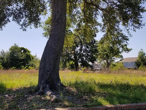 2nd image of 115 Destiny Oaks Dr