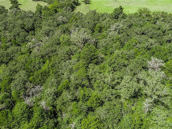 5th image of County Road 309