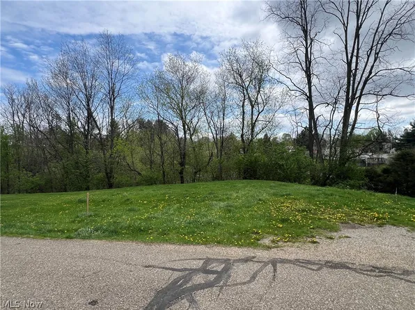 0 Carson St, Hopedale, OH 43976