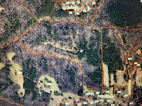 Orphanage Rd, Danville, VA 24540