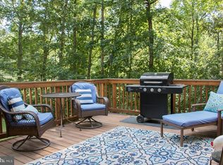 12205 Drogheda Mountain Rd, Rixeyville, VA 22737