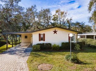 61 Horseshoe Falls Dr, Ormond Beach, FL 32174