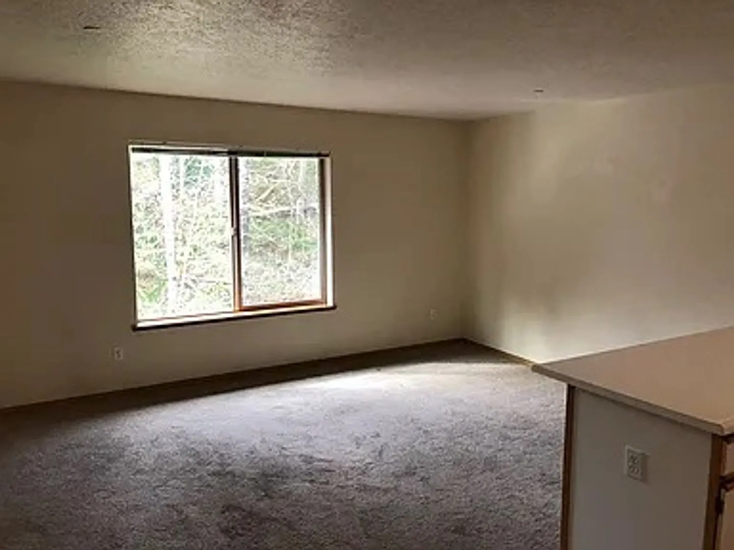 Cozy 2 bedroom with private balcony! — Photo 3