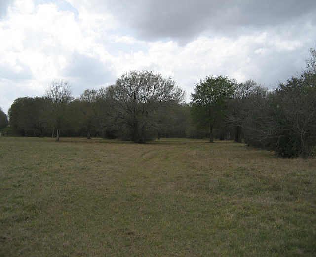 1st image of 2007 Eagle Nest