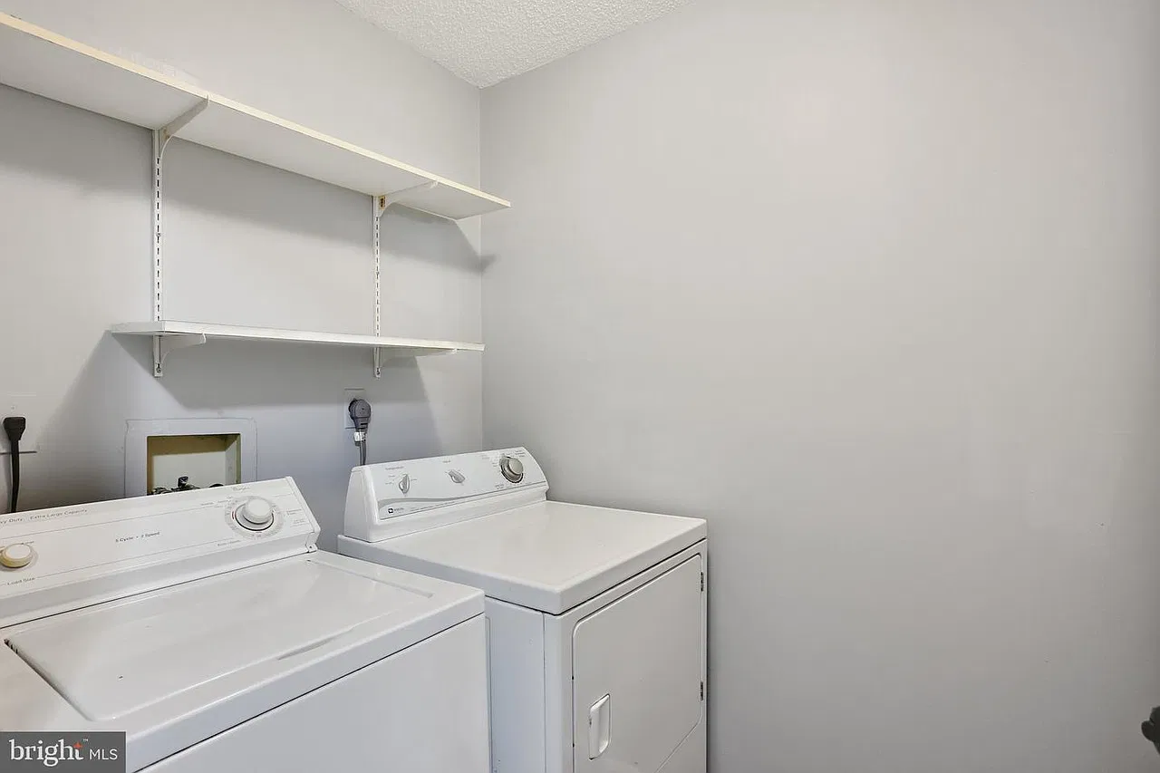3 bed, 971 sqft, $2,500 — Photo 3