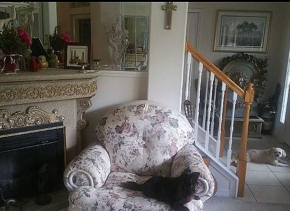 4th image of 349 Magnolia Pl
