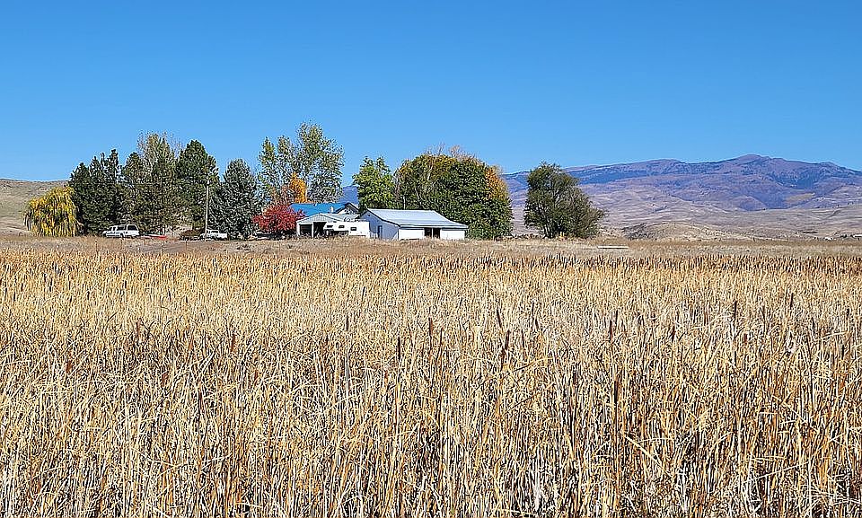 Oasis in the middle of 20 ac