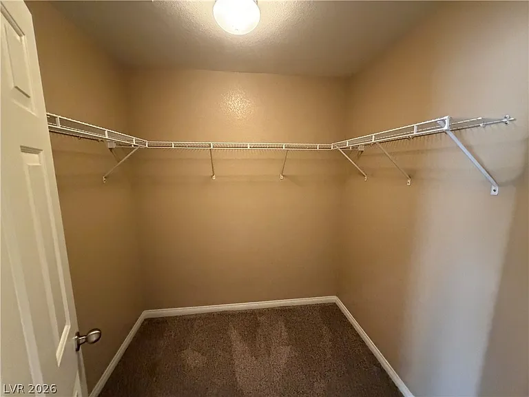 6657 Colorado Spruce St — Photo 13
