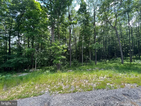 Fork Run Trl, Mc Henry, MD 21541