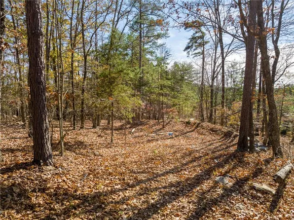 11 Brite Ct #11, Ranger, GA 30734