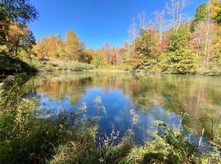 58 Who Dr, Saluda, NC 28773