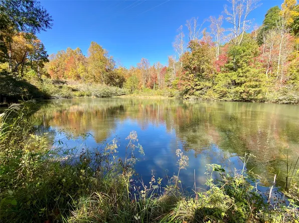 58 Who Dr, Saluda, NC 28773