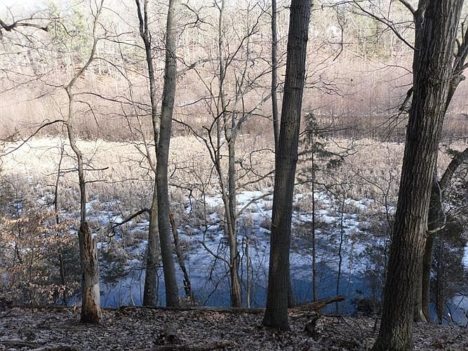 2nd image of 0 Allegan Dam Rd