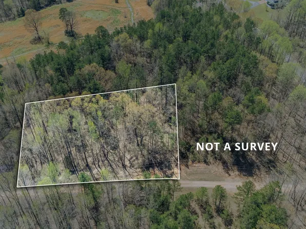 1102 Driver Ln, Saulsbury, TN 38067