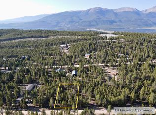 479 Birch Dr, Twin Lakes, CO 81251