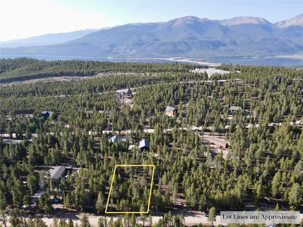 479 Birch Dr, Twin Lakes, CO 81251