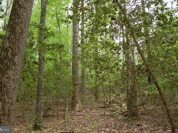 0 Tidewater Trl, Rappahannock Academy, VA 22538