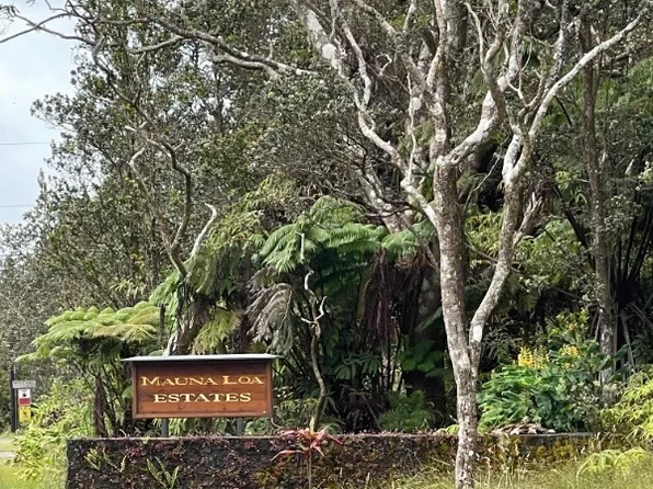 6th St Lot 557, Volcano, HI 96785