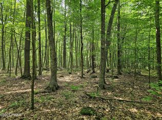 61 Rock Run Ln, Equinunk, PA 18417